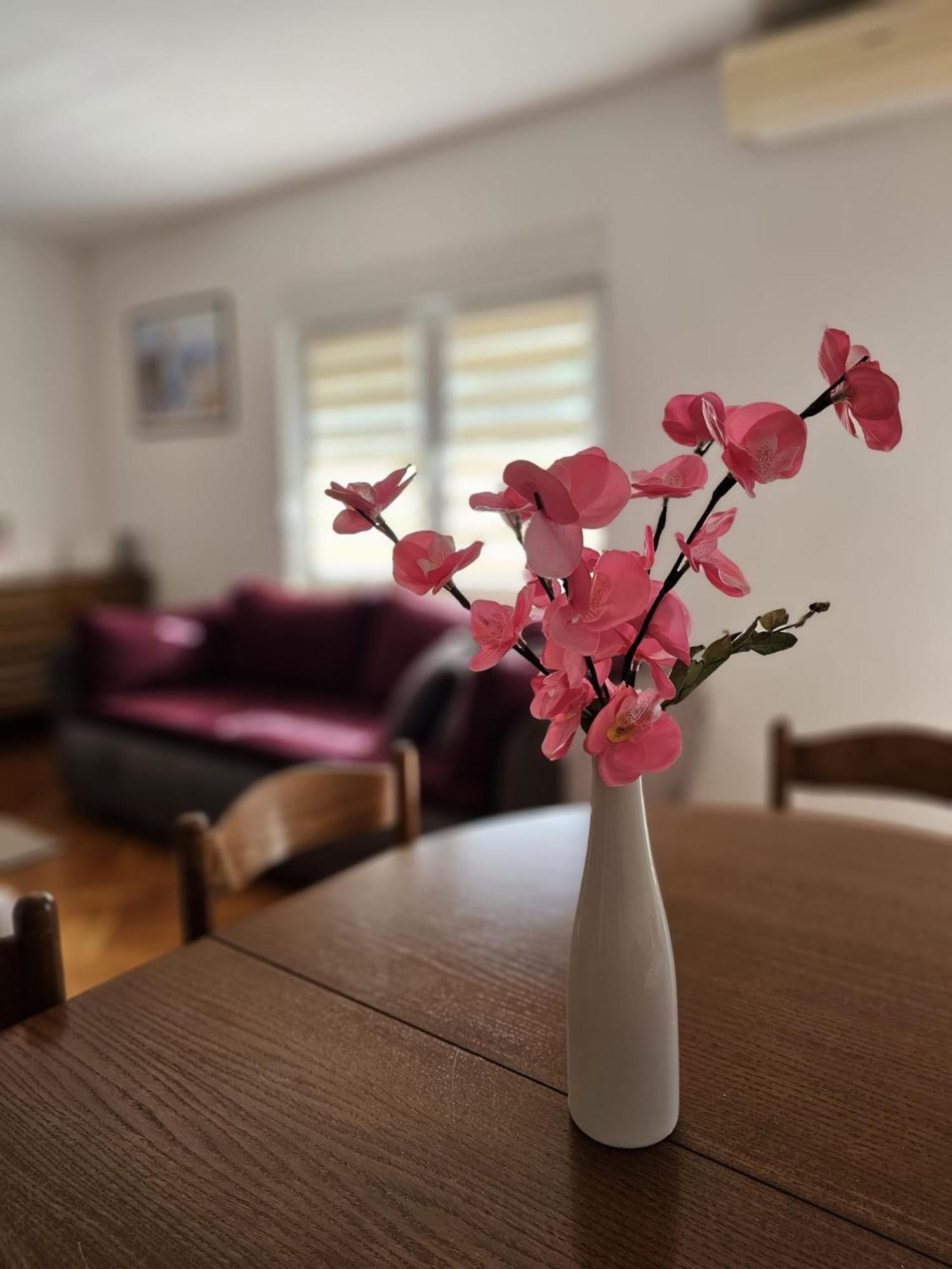 Apartment Vesna Podaca Eksteriør billede